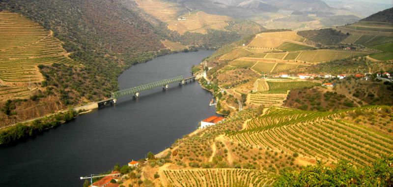 Viaje por el Duero portugués